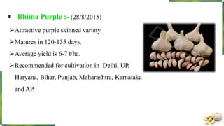  Bhima Purple :- (28/8/2015)
Attractive purple skinned variety
Matures in 120-135 days.
Average yield is 6-7 t/ha.
Recommended for cultivation in Delhi, UP,
Haryana, Bihar, Punjab, Maharashtra, Karnataka
and AP.
 