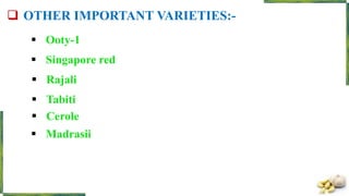  Ooty-1
 Singapore red
 OTHER IMPORTANT VARIETIES:-
 Madrasii
 Cerole
 Tabiti
 Rajali
 