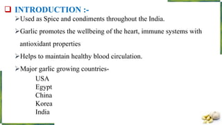  INTRODUCTION :-
Used as Spice and condiments throughout the India.
Garlic promotes the wellbeing of the heart, immune systems with
antioxidant properties
Helps to maintain healthy blood circulation.
Major garlic growing countries-
USA
Egypt
China
Korea
India
 