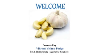 WELCOME
Presented by
Vikrant Vishnu Padge
MSc. Horticulture (Vegetable Science)
 