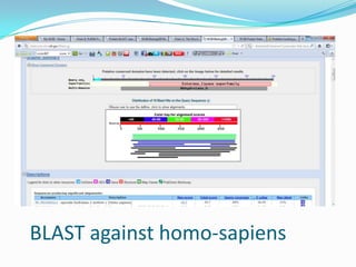 BLAST against homo-sapiens
 