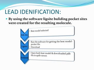LEAD IDENIFICATION:
 By using the software ligsite buliding pocket sites
were created for the resulting molecule.
 