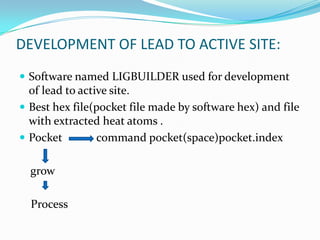 DEVELOPMENT OF LEAD TO ACTIVE SITE:
 Software named LIGBUILDER used for development
of lead to active site.
 Best hex file(pocket file made by software hex) and file
with extracted heat atoms .
 Pocket command pocket(space)pocket.index
grow
Process
 