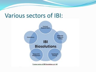 Various sectors of IBI:
 