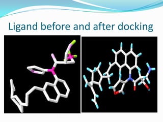 Ligand before and after docking
 