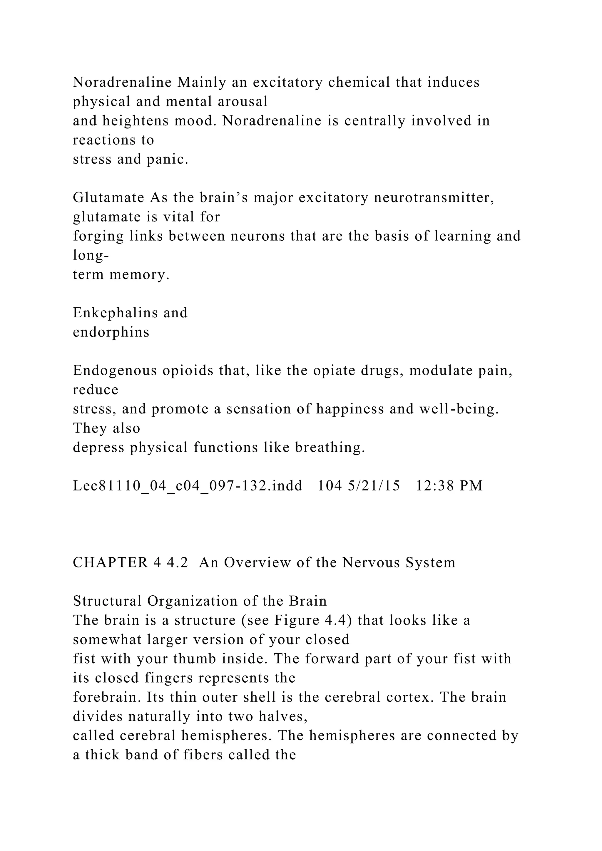 Noradrenaline Mainly an excitatory chemical that induces
physical and mental arousal
and heightens mood. Noradrenaline is centrally involved in
reactions to
stress and panic.
Glutamate As the brain’s major excitatory neurotransmitter,
glutamate is vital for
forging links between neurons that are the basis of learning and
long-
term memory.
Enkephalins and
endorphins
Endogenous opioids that, like the opiate drugs, modulate pain,
reduce
stress, and promote a sensation of happiness and well-being.
They also
depress physical functions like breathing.
Lec81110_04_c04_097-132.indd 104 5/21/15 12:38 PM
CHAPTER 4 4.2 An Overview of the Nervous System
Structural Organization of the Brain
The brain is a structure (see Figure 4.4) that looks like a
somewhat larger version of your closed
fist with your thumb inside. The forward part of your fist with
its closed fingers represents the
forebrain. Its thin outer shell is the cerebral cortex. The brain
divides naturally into two halves,
called cerebral hemispheres. The hemispheres are connected by
a thick band of fibers called the
 