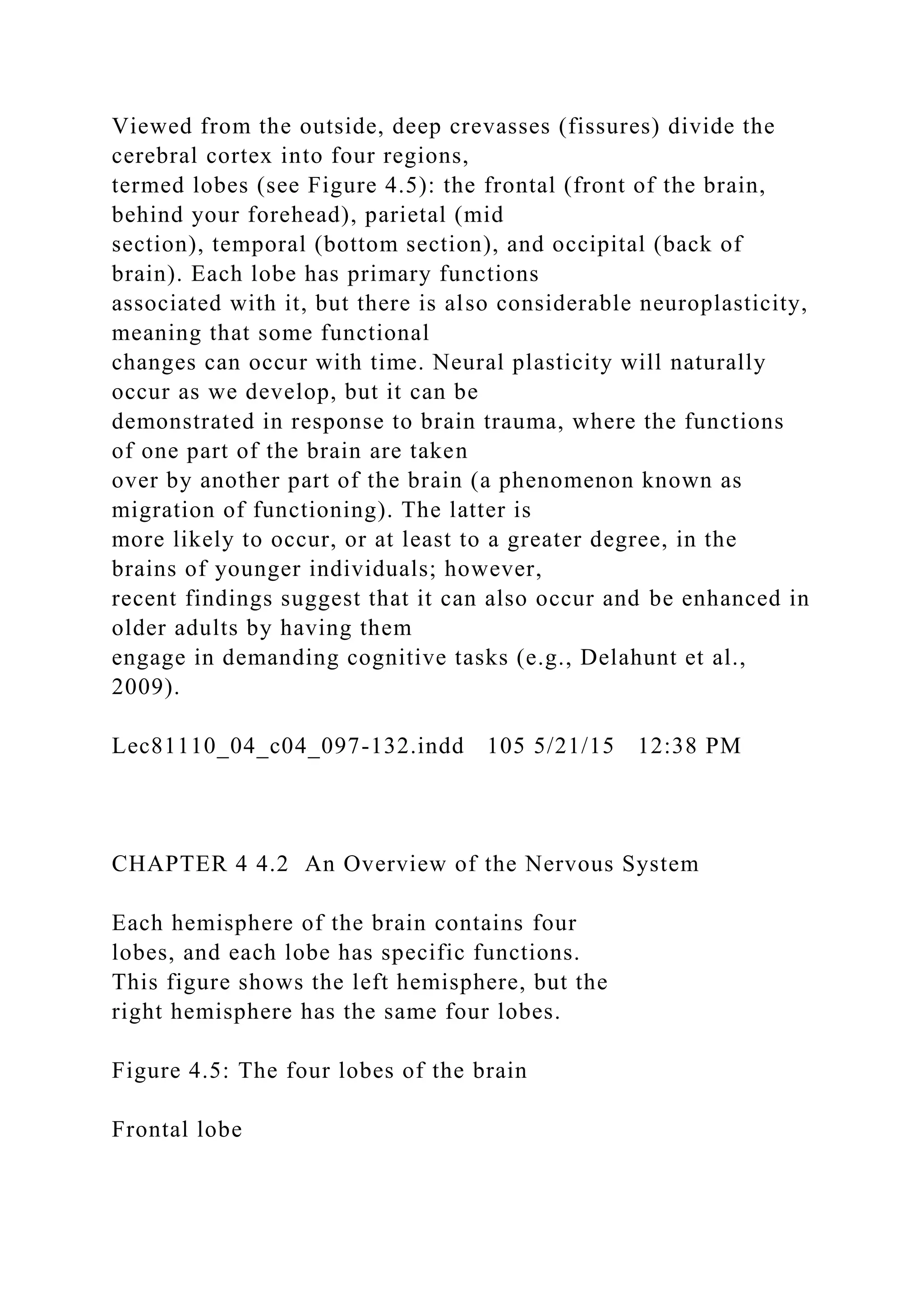Viewed from the outside, deep crevasses (fissures) divide the
cerebral cortex into four regions,
termed lobes (see Figure 4.5): the frontal (front of the brain,
behind your forehead), parietal (mid
section), temporal (bottom section), and occipital (back of
brain). Each lobe has primary functions
associated with it, but there is also considerable neuroplasticity,
meaning that some functional
changes can occur with time. Neural plasticity will naturally
occur as we develop, but it can be
demonstrated in response to brain trauma, where the functions
of one part of the brain are taken
over by another part of the brain (a phenomenon known as
migration of functioning). The latter is
more likely to occur, or at least to a greater degree, in the
brains of younger individuals; however,
recent findings suggest that it can also occur and be enhanced in
older adults by having them
engage in demanding cognitive tasks (e.g., Delahunt et al.,
2009).
Lec81110_04_c04_097-132.indd 105 5/21/15 12:38 PM
CHAPTER 4 4.2 An Overview of the Nervous System
Each hemisphere of the brain contains four
lobes, and each lobe has specific functions.
This figure shows the left hemisphere, but the
right hemisphere has the same four lobes.
Figure 4.5: The four lobes of the brain
Frontal lobe
 