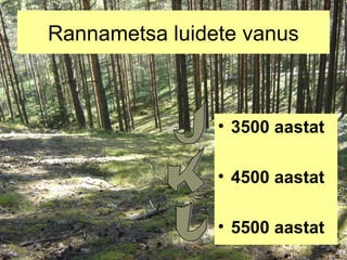 Rannametsa luidete vanus

• 3500 aastat
• 4500 aastat
• 5500 aastat

 