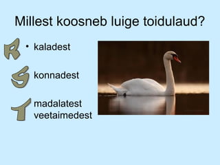 Millest koosneb luige toidulaud?
• kaladest
• konnadest
• madalatest
veetaimedest

 