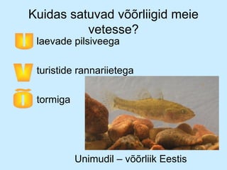 Kuidas satuvad võõrliigid meie
vetesse?

• laevade pilsiveega

• turistide rannariietega
• tormiga

Unimudil – võõrliik Eestis

 