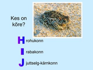 Kes on
kõre?
• rohukonn
• rabakonn
• juttselg-kärnkonn

 