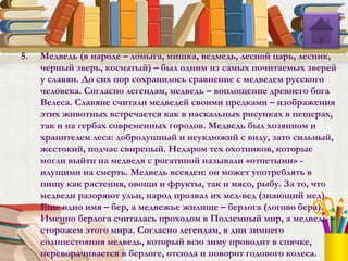 5. Медведь (в народе – ломыга, мишка, ведмедь, лесной царь, лесник,
черный зверь, косматый) – был одним из самых почитаемых зверей
у славян. До сих пор сохранилось сравнение с медведем русского
человека. Согласно легендам, медведь – воплощение древнего бога
Велеса. Славяне считали медведей своими предками – изображения
этих животных встречается как в наскальных рисунках в пещерах,
так и на гербах современных городов. Медведь был хозяином и
хранителем леса: добродушный и неуклюжий с виду, зато сильный,
жестокий, подчас свирепый. Недаром тех охотников, которые
могли выйти на медведя с рогатиной называли «отпетыми» -
идущими на смерть. Медведь всеяден: он может употреблять в
пищу как растения, овощи и фрукты, так и мясо, рыбу. За то, что
медведи разоряют ульи, народ прозвал их мед-вед (знающий мед).
Еще одно имя – бер, а медвежье жилище – берлога (логово бера).
Именно берлога считалась проходом в Подземный мир, а медведь –
сторожем этого мира. Согласно легендам, в дни зимнего
солнцестояния медведь, который всю зиму проводит в спячке,
переворачивается в берлоге, отсюда и поворот годового колеса.
 
