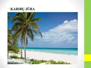 • KARIBŲ JŪRA
 