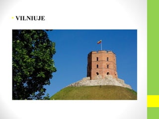 • VILNIUJE
 