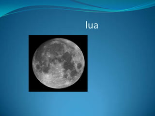 lua

 