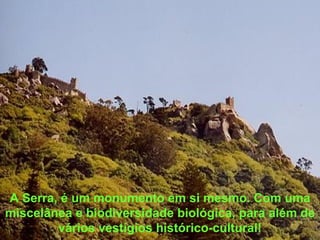 A Serra, é um monumento em si mesmo. Com uma miscelânea e biodiversidade biológica, para além de vários vestígios histórico-cultural! 