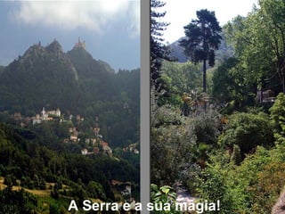 A Serra e a sua magia! 
