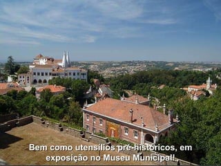 Bem como utensílios pré-históricos, em exposição no Museu Municipal! 