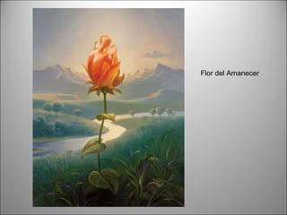 Flor del Amanecer 