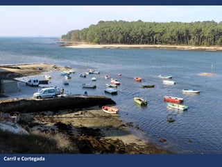 Carril e Cortegada
 