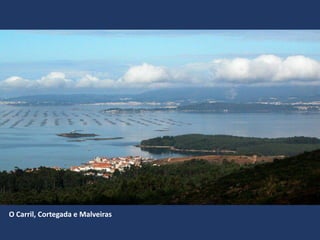 O Carril, Cortegada e Malveiras
 