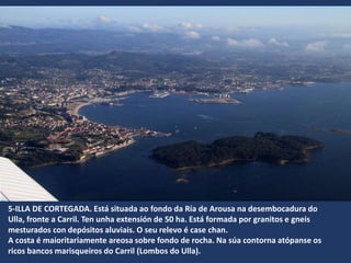 5-ILLA DE CORTEGADA. Está situada ao fondo da Ría de Arousa na desembocadura do
Ulla, fronte a Carril. Ten unha extensión de 50 ha. Está formada por granitos e gneis
mesturados con depósitos aluviais. O seu relevo é case chan.
A costa é maioritariamente areosa sobre fondo de rocha. Na súa contorna atópanse os
ricos bancos marisqueiros do Carril (Lombos do Ulla).
 