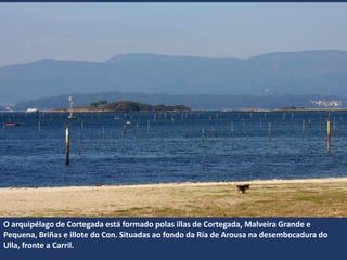 O arquipélago de Cortegada está formado polas illas de Cortegada, Malveira Grande e
Pequena, Briñas e illote do Con. Situadas ao fondo da Ría de Arousa na desembocadura do
Ulla, fronte a Carril.
 