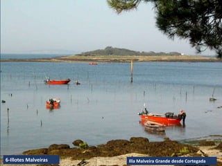 Illa Malveira Grande desde Cortegada
6-Illotes Malveiras
 