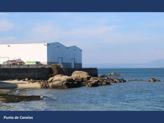 Punta de Canelas
 