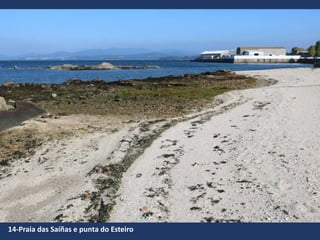 14-Praia das Saíñas e punta do Esteiro
 