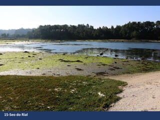 15-Seo do Rial
 