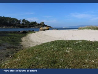 Frecha areosa na punta do Esteiro
 