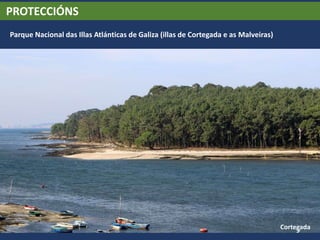 PROTECCIÓNS
Parque Nacional das Illas Atlánticas de Galiza (illas de Cortegada e as Malveiras)
Cortegada
 