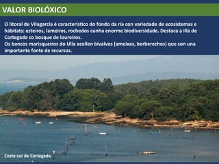 VALOR BIOLÓXICO
O litoral de Vilagarcía é característico do fondo da ría con variedade de ecosistemas e
hábitats: esteiros, lameiros, rochedos cunha enorme biodiversidade. Destaca a illa de
Cortegada co bosque de loureiros.
Os bancos marisqueiros do Ulla acollen bivalvos (ameixas, berberechos) que son una
importante fonte de recursos.
Costa sur de Cortegada
 