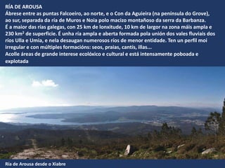 RÍA DE AROUSA
Ábrese entre as puntas Falcoeiro, ao norte, e o Con da Aguieira (na península do Grove),
ao sur, separada da ría de Muros e Noia polo macizo montañoso da serra da Barbanza.
É a maior das rías galegas, con 25 km de lonxitude, 10 km de largor na zona máis ampla e
230 km2 de superficie. É unha ría ampla e aberta formada pola unión dos vales fluviais dos
ríos Ulla e Umia, e nela desaugan numerosos ríos de menor entidade. Ten un perfil moi
irregular e con múltiples formacións: seos, praias, cantís, illas...
Acolle áreas de grande interese ecolóxico e cultural e está intensamente poboada e
explotada
Ría de Arousa desde o Xiabre
 