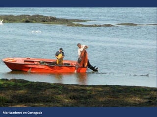 Mariscadores en Cortegada
 