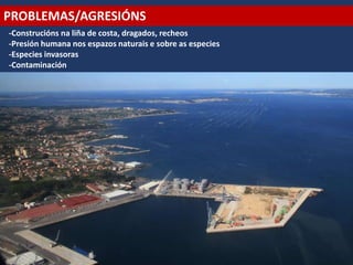 PROBLEMAS/AGRESIÓNS
-Construcións na liña de costa, dragados, recheos
-Presión humana nos espazos naturais e sobre as especies
-Especies invasoras
-Contaminación
 