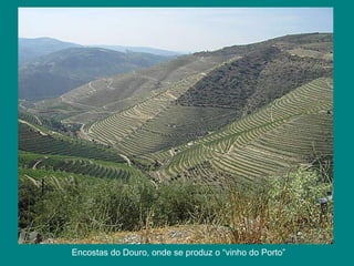 Encostas do Douro, onde se produz o “vinho do Porto”  