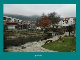 Boticas  