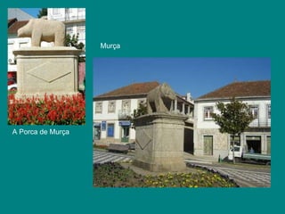 Murça   A Porca de Murça 