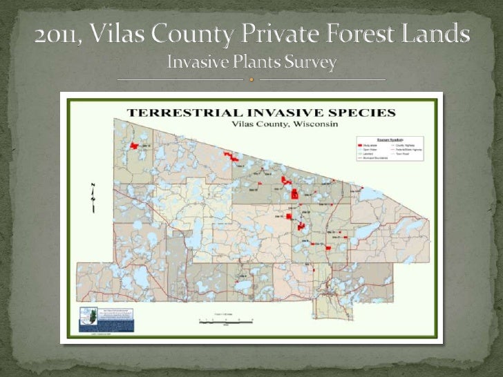 Vilas County Invasive Species Program
