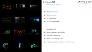 (June 22nd, 2021) Introducing Vilber’s Product Line of Gel Imaging ...