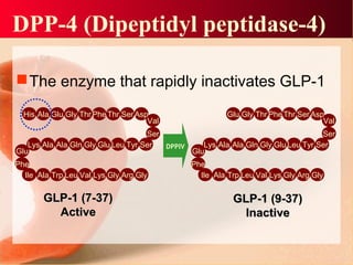 DPP-4 (Dipeptidyl peptidase-4)
The enzyme that rapidly inactivates GLP-1
His Ala Glu Gly ThrPhe Thr SerAsp
Lys Ala Ala Gln Gly Glu Leu Tyr Ser
Ile Ala Trp Leu Val Lys Gly Arg Gly
Val
Ser
Glu
Phe
Glu Gly Thr PheThr SerAsp
Lys Ala Ala Gln Gly Glu Leu Tyr Ser
Ile Ala Trp Leu Val Lys Gly Arg Gly
Val
Ser
Glu
Phe
DPPIV
GLP-1 (9-37)GLP-1 (9-37)
InactiveInactive
GLP-1 (7-37)GLP-1 (7-37)
ActiveActive
 