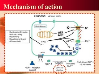 Mechanism of action
 