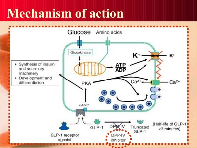 Actos mechanism of action