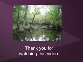 Thank you for
watching this video.
 