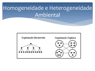 Homogeneidade e Heterogeneidade
Ambiental
 