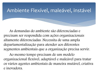 Ambiente Flexível, maleável, instável
As demandas do ambiente são diferenciadas e
precisam ser respondida com ações organizacionais
altamente diferenciadas. Necessita de uma ampla
departamentalização para atender aos diferentes
segmentos ambientais que a organização precisa servir.
Ao mesmo tempo precisam de um modelo
organizacional flexível, adaptável e maleável para tratar
os vários agentes ambientais de maneira mutável, criativa
e inovadora.
 