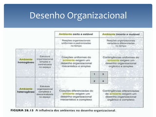 Desenho Organizacional
 