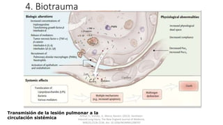 4. Biotrauma
Arthur, S., Slutsky., V., Marco, Ranieri. (2013). Ventilator-
Induced Lung Injury. The New England Journal of Medicine,
369(22):2126-2136. doi: 10.1056/NEJMRA1208707
Transmisión de la lesión pulmonar a la
circulación sistémica
 